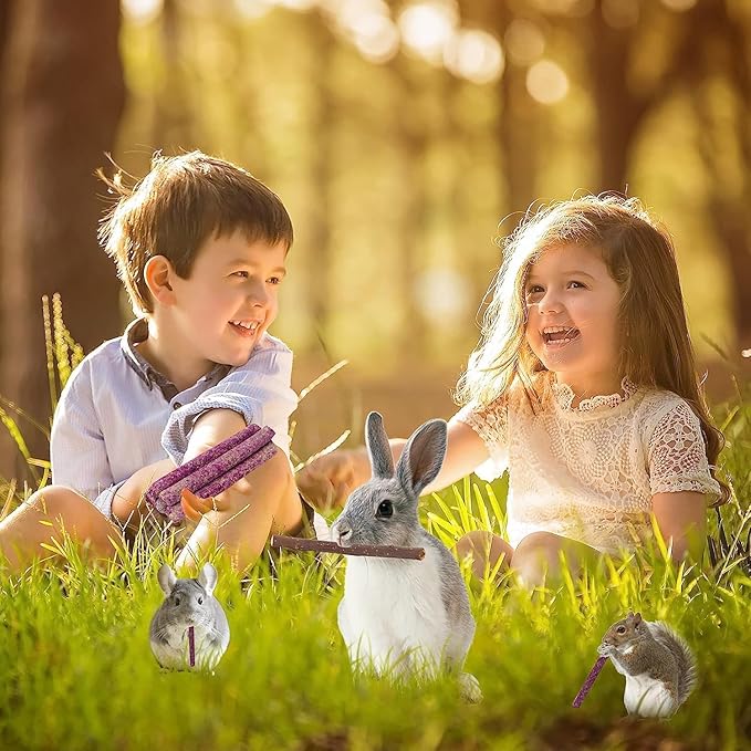 70PCS Rabbit Chew Sticks, Bunny Guinea Pig Toys for Teeth Natural Timothy Hay Sticks for Rabbit Chinchilla Guinea Pig Bunny Hamster - Chews Toys for Small Rodents' Teeth-Mewly Pet