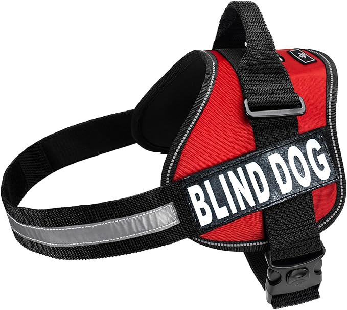 Doggie Stylz Blind Dog Vest Harness with Removable Patches and Reflective Trim. Comes with 2 Blind Dog Reflective Hook and Loop Patches. Measure Dogs Girth Before Purchase (Girth 24”-31" Red)-Mewly Pet