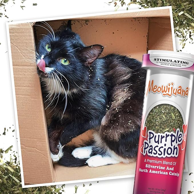 Meowijuana Purrple Passion Cat Nip - Premium Organic Blend of Catnip for Cats & Silvervine, Stimulates Playful Behavior, 26g, Natural Wellness Gift for Cat Lovers-Mewly Pet