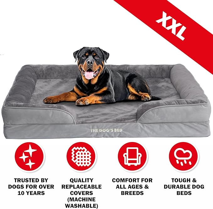 The Dog’s Bed, Orthopedic Standard Foam Waterproof Dog Bed with Standard Support, XXL Silver Grey Plush, Waterproof, Supportive Dog Bed with Replaceable Covers, Veterinary Approved-Mewly Pet
