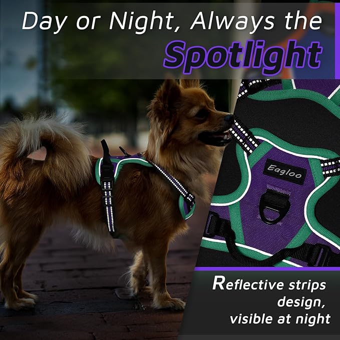 Eagloo Small Dog Harness No Pull, Service Vest with Reflective Strips and Control Handle, Adjustable and Comfortable for Walking, No Choke Pet Harness with 2 Metal Rings, Purple & Green, XS-Mewly Pet