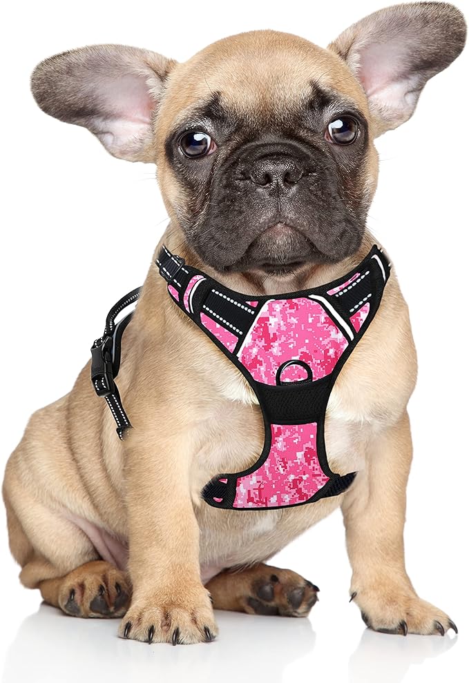 BARKBAY No Pull Dog Harness Large Step in Reflective Dog Harness with Front Clip and Easy Control Handle for Walking Training Running(Pink camo,S)-Mewly Pet