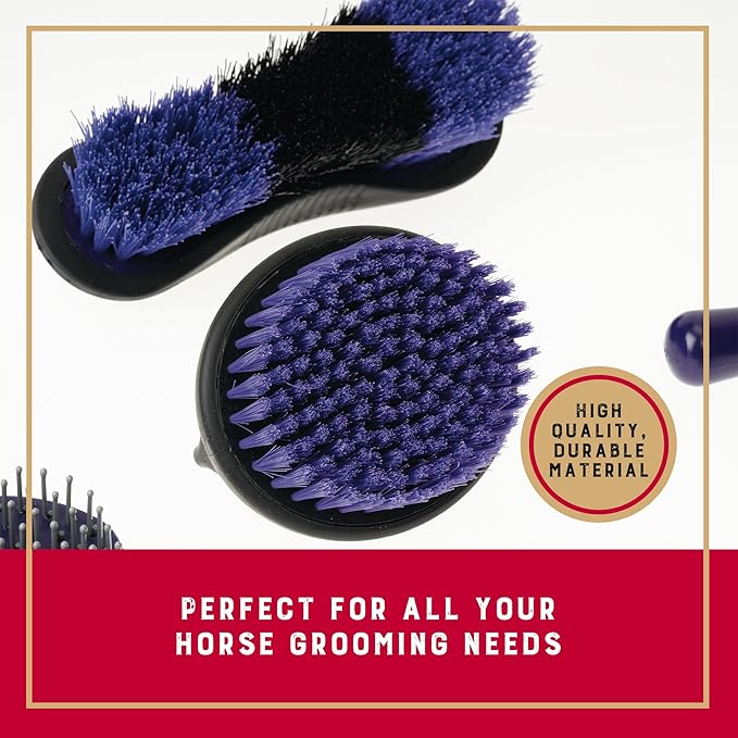 Weaver Equine 6-Piece Horse Grooming Kit, Ergonomic Gentle Horse Care Kit, Equestrian Supplies for Bathing Support, Detangling, and More, Purple/Black-Mewly Pet