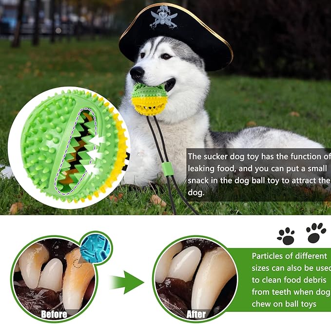 Dog Toys, Dog Chew Toys for Aggressive chewers, Puppy Training Treats Teething Rope Toys for Boredom, Puzzle Treat Food Dispensing Ball for Puppies Teething Small Dogs (Green)-Mewly Pet