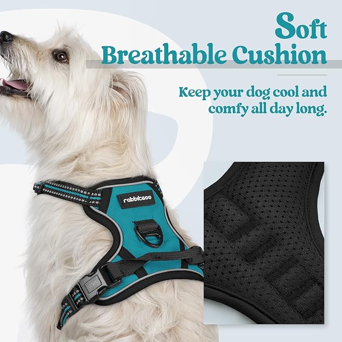 rabbitgoo Dog Harness No Pull with 2 Leash Clips, Adjustable Soft Padded, Reflective Oxford No Choke Pet Vest with Easy Control Handle for Puppy, Teal, XS-Mewly Pet