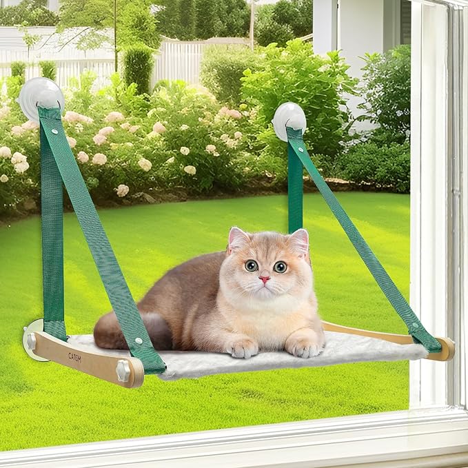CATISM Cat Window Perch Foldable - Cats Hammock for Window, 2 in 1 Cat Window Hammock Bed for Indoor Cats, Cat Perch with Sturdy Screw Suction Cups for Kittens (Green)-Mewly Pet