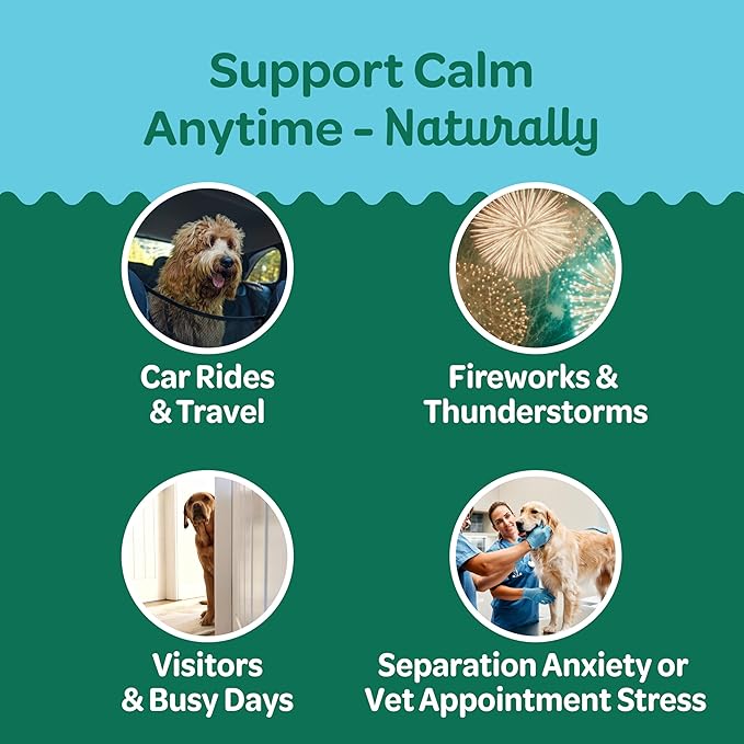 Wholesome Pride Calming Supplement for Dogs - 90 Soft Chews - Natural Anxiety Relief, Separation & Noise Stress Support with Herbal Ingredients, No Melatonin, Non-Drowsy-Mewly Pet