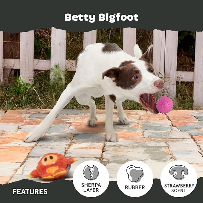 Barkbox Betty Bigfoot Dog Toy for Medium to Large Aggressive Chewers, Durable with Hidden Surprise Toy Inside for Extended Playtime-Mewly Pet
