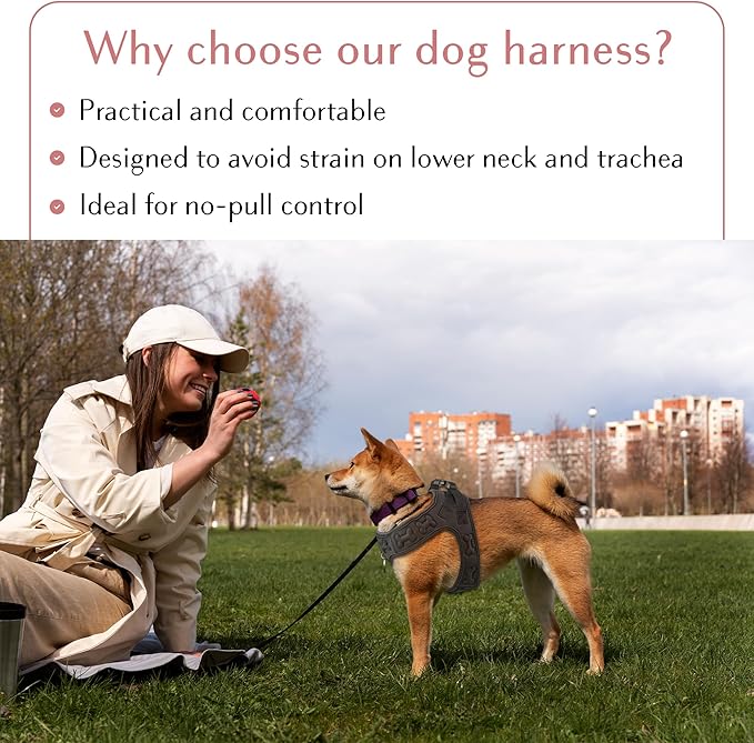 Comfort fit Step-in Dog & Puppy Harness - Comfortable All Weather Dog Vest Harness: Adjustable, Soft Padded, Easy to Put-on for Small, Medium-Sized Dogs.-Mewly Pet