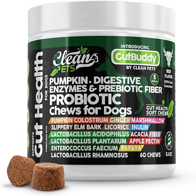 Probiotics for Dogs with Pumpkin, Colostrum, Digestive Enzymes, Ginger, Slippery Elm, Licorice, Inulin Fiber & More | Beef Flavor Soft Chews for Gut Health and Digestion Dog Supplement-Mewly Pet