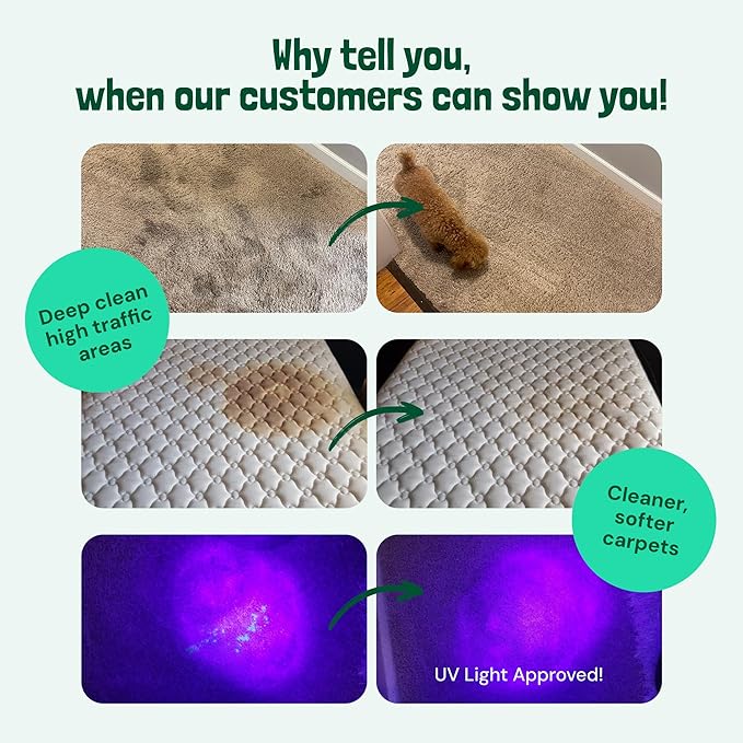 Sunny & Honey Carpet Cleaner Solution - 128 Fl Oz, Spring Mint Scent - Carpet Shampoo & Pet Stain Remover for Upholstery & Rugs, Works With Steam Cleaners-Mewly Pet