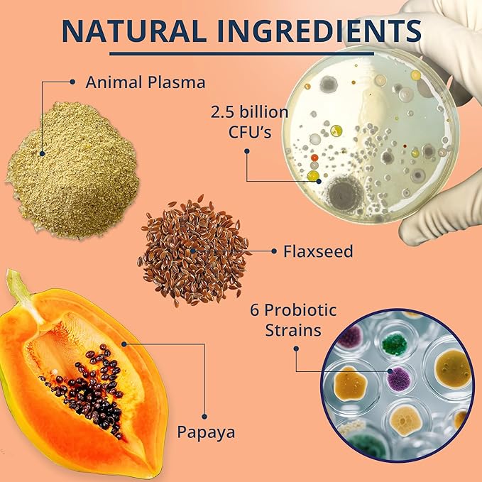 NOVEHA Probiotic Chews for Dogs | Gut Health & Digestive Support | Healthy Skin & Coat | Dog Probiotics for Yeast - Itchy Skin & Itchy Ears | for Dogs with Allergies | 90 Chews (1-Pack)-Mewly Pet