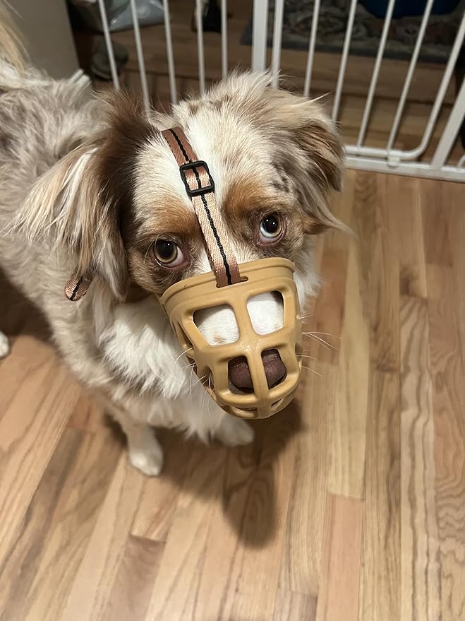 Mayerzon Dog Muzzle, Breathable Basket Muzzles for Small, Medium, Large and X-Large Aggressive Dogs Beagle German Shepherd Doberman, Cage Mouth Guard Stop Biting Chewing for Grooming Training-Mewly Pet