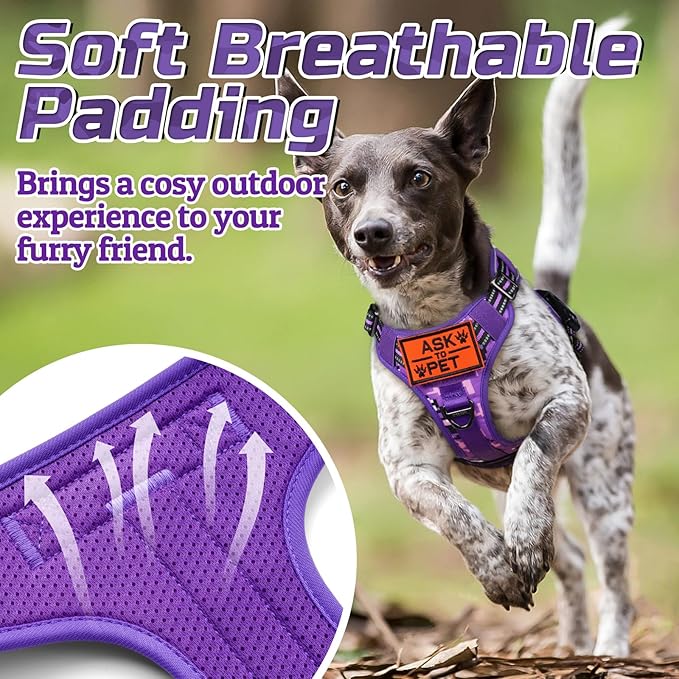 rabbitgoo Tactical Dog Harness Medium Sized Dog, No Pull Military Service Vest with Handle & Molle, Easy Control for Training Walking, Adjustable Reflective Straps, Purple Camo, M-Mewly Pet