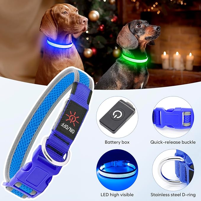 Flashseen LED Dog Collar, Light Up Dog Collar USB Rechargeable, Brightest Dog Lights for Night Walking, Adjustable Dog Collar Light for Dog Safety (Large, Royal Blue)-Mewly Pet