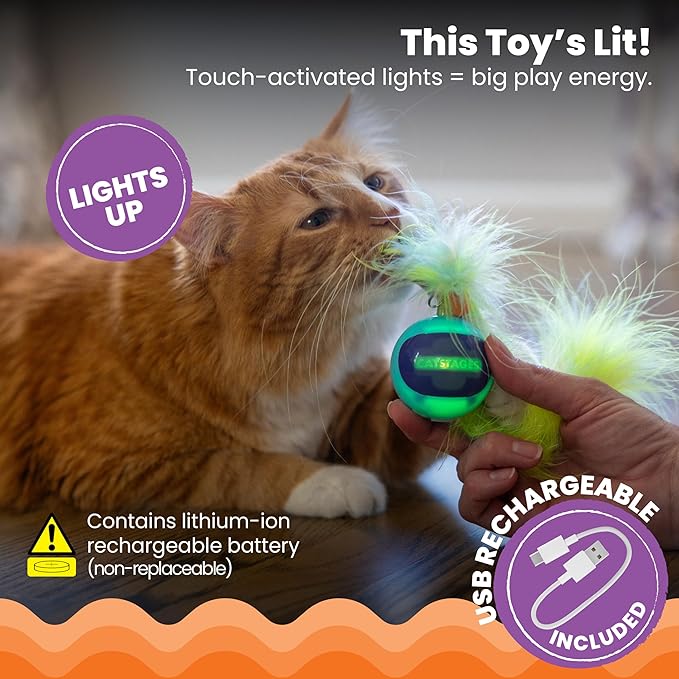 Catstages Roll & Chase Robot Toy –Interactive Electronic Cat Toy for Indoor with Feather Teaser Tail, Lights, USB Rechargeable, Automatic Moving Action for Active Play, Mental Stimulation & Enrichment-Mewly Pet