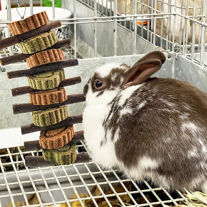 Rabbit Chew Toy,Bunny Chew Toys for Teeth Grinding,Natural Apple Branch Teething Sticks with Hay Grass Cake Improve Dental Health Bunny Hanging Chew Toys for Rabbits,Chinchillas,Hamster (4 Pcs)-Mewly Pet