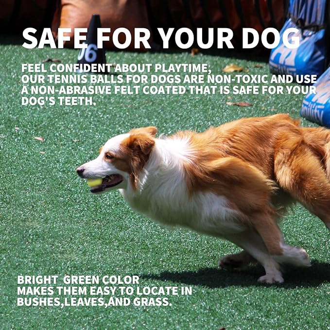 ALL FOR PAWS Interactive Super Bounce Tennis Balls Dog Toy, Pet Safe Toys for Exercise and Training, 2.5 Inch Diameter (6 Pack)-Mewly Pet