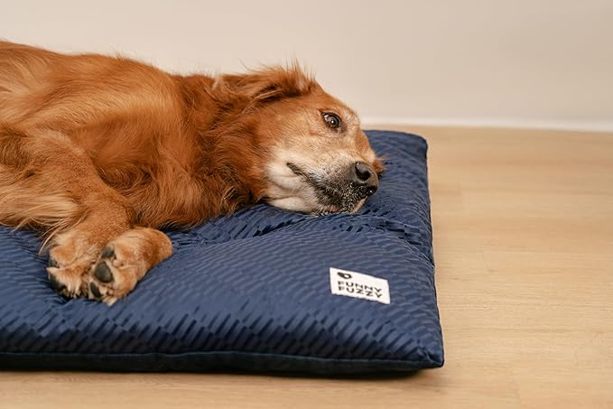 FUNNY FUZZY Washable Dog Bed,Reversible Plush Dog Crate Mat, Soft Fluffy Kennel Pad,Pet Sleeping Mattress for Jumbo,X-Large Sized Dogs Breeds,2XL,48"× 31",Midnight Blue-Mewly Pet