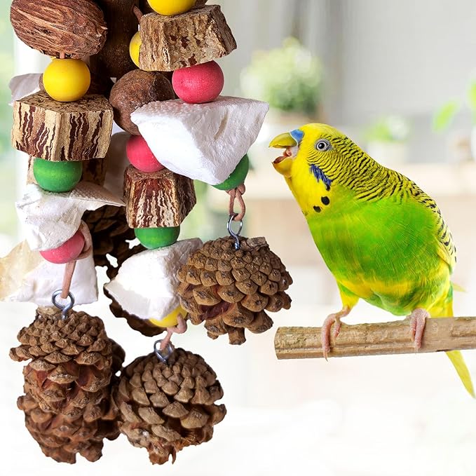 kathson Parrot Chew Toys, Medium Size Natural Wooden Bird Toys with Colorful Blocks, Hanging Bird Cage Accessories for Cockatiels, Conure, Cockatoos, 2 Pack (Style B)-Mewly Pet