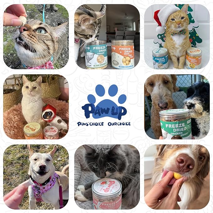 Freeze Dried Raw Dog Food, Chicken & Salmon Recipe Dog Food Topper, High Protein, Rawhide Free, Gluten&Grain Free for Dogs, Cats, 5.3oz-Mewly Pet