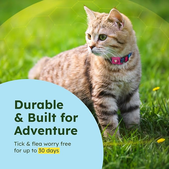 BugMD Paw Guardian Flea & Tick Pendant (3-Pack) with AirTag Holder – Plant-Based Flea & Tick Prevention for Dogs – Pet Collar Tag & GPS Tracker Holder for Dogs – Pink-Mewly Pet