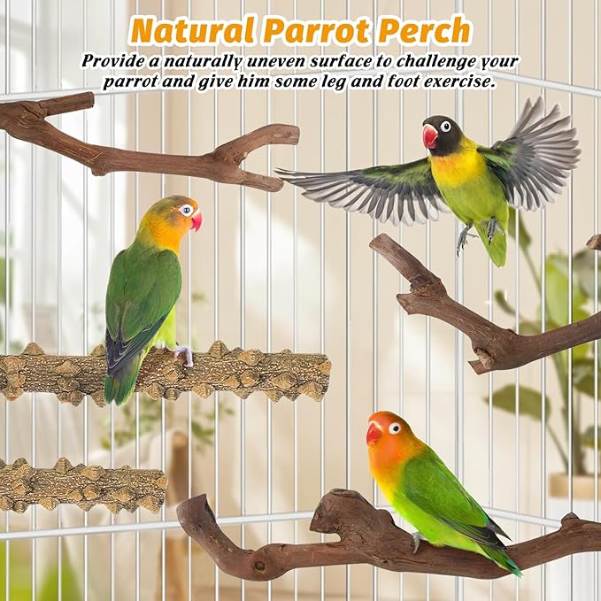 kathson 5pcs Natural Parrot Perch for Cage Wooden Bird Perches Grape Bird Stick Parakeet Climbing Standing Branches Toy Chewable Cage Accessories for Small Budgies Cockatiels Lovebirds Budgies-Mewly Pet