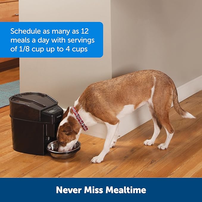 PetSafe Automatic Cat Feeder - Healthy Pet Simply Feed - Automatic Pet Feeder for Cats & Dogs - Timed Pet Feeder with Programmable Portion Control - Holds 24 Cups of Dry or Semi-Moist Dog or Cat Food-Mewly Pet