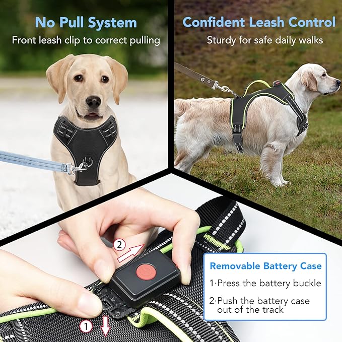 Rechargeable LED Dog Harness - No Pull, 4 Point Adjustable, Small/Medium/Large/X-Large Sizes-Mewly Pet