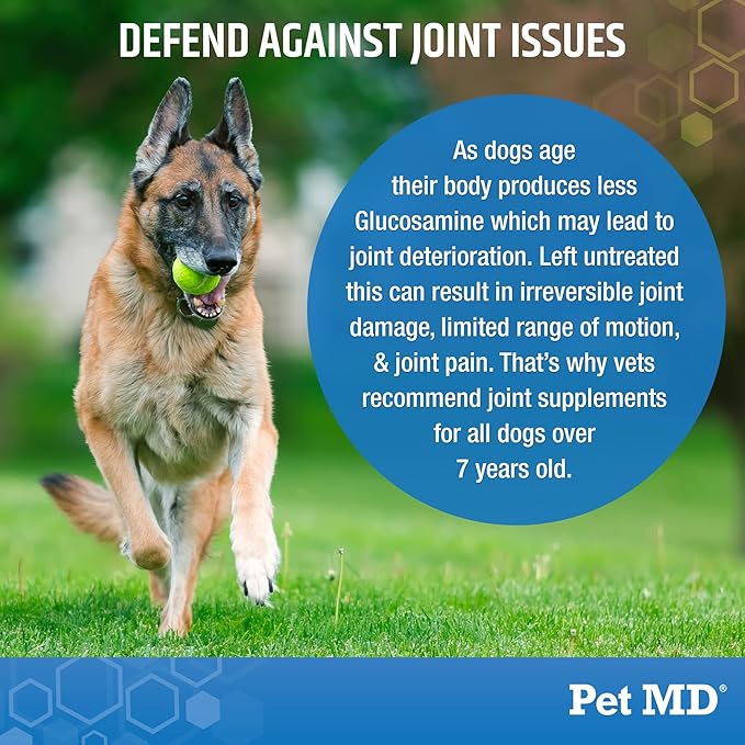 Pet MD Glucosamine for Dogs | Dog Joint Supplement with Glucosamine, Chondroitin & MSM - Inflammatory Pain Relief Chews for Hip & Joints - Bacon Flavored - Includes Yucca & Turmeric - 120 Ct-Mewly Pet