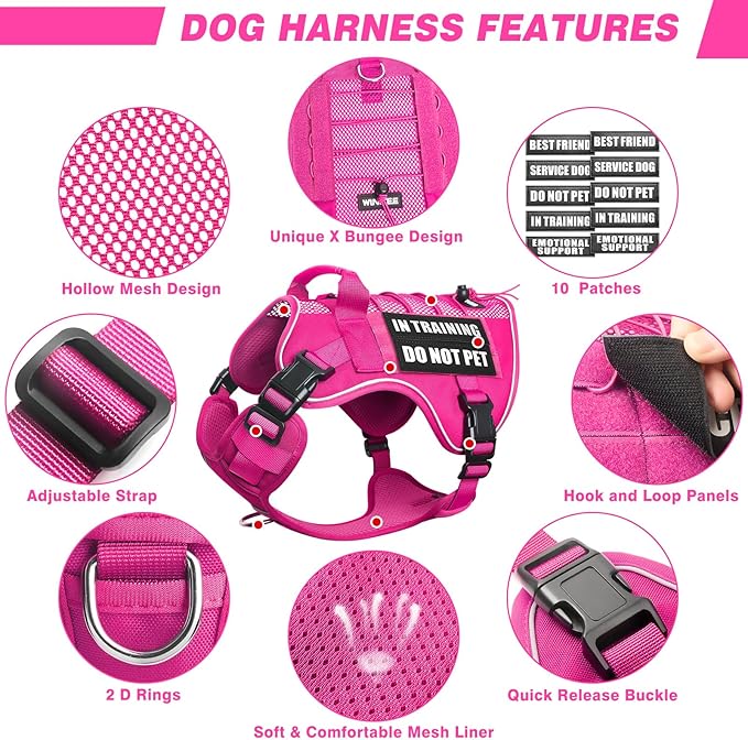 WINSEE Service Dog in Training Mesh Harness with 10 Pet Patches, Soft Air Mesh Breathable Tactical Dog Molle Vest, Reflective Military Pet Vest for Walking Hiking for Large Dogs-Mewly Pet