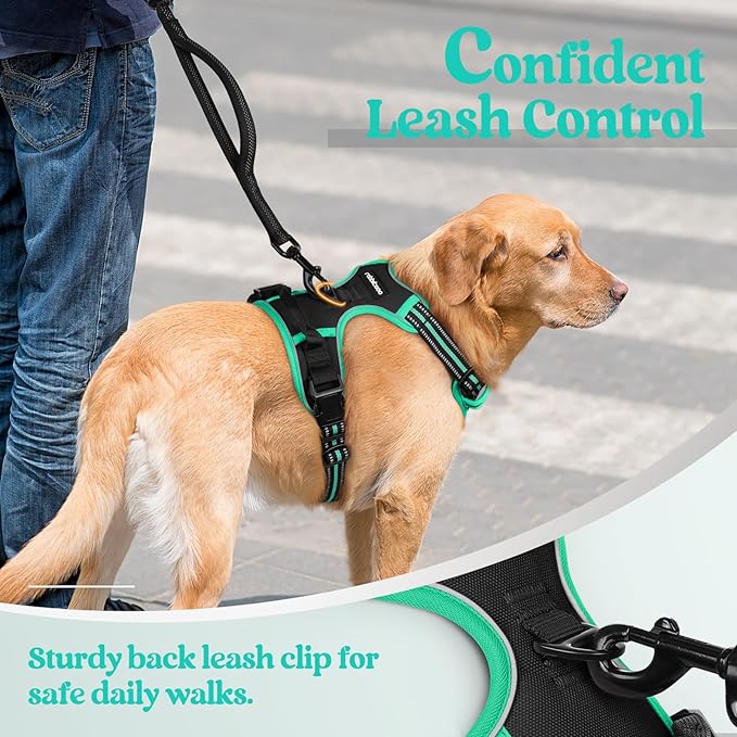 rabbitgoo Dog Harness No Pull with 2 Leash Clips, Adjustable Soft Padded, Reflective Oxford No Choke Pet Vest with Easy Control Handle for Medium Sized Dogs, Black & Turquoise, M-Mewly Pet