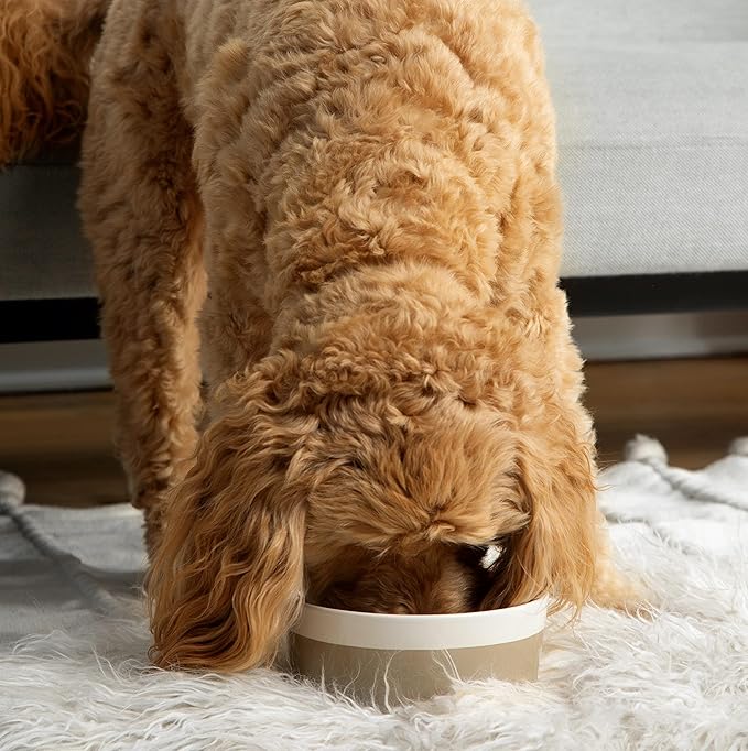 Waggo Dipper Ceramic Dog Bowl for Small and Large Breeds - Heavyweight and Durable Pet Food and Water Dish Crock, Dishwasher Safe, Modern (Black, Medium)-Mewly Pet