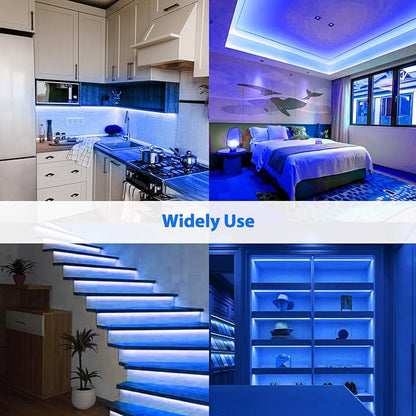 Lamomo LED Neon Lights, 16.4ft Blue LED Strip Light, 12V 0.39in/Cut Silicone Waterproof Neon Rope Light, DIY Neon Sign for Bedroom Indoor Outdoor Decoration（Power Adapter not Included）