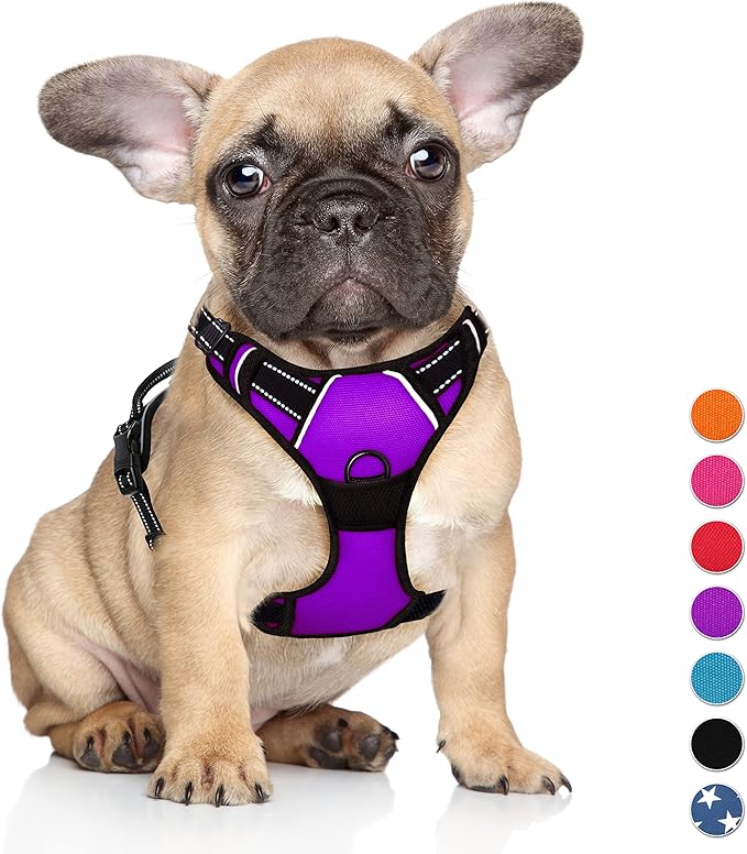 BARKBAY No Pull Dog Harness Large Step in Reflective Dog Harness with Front Clip and Easy Control Handle for Walking Training Running(Purple,S)-Mewly Pet