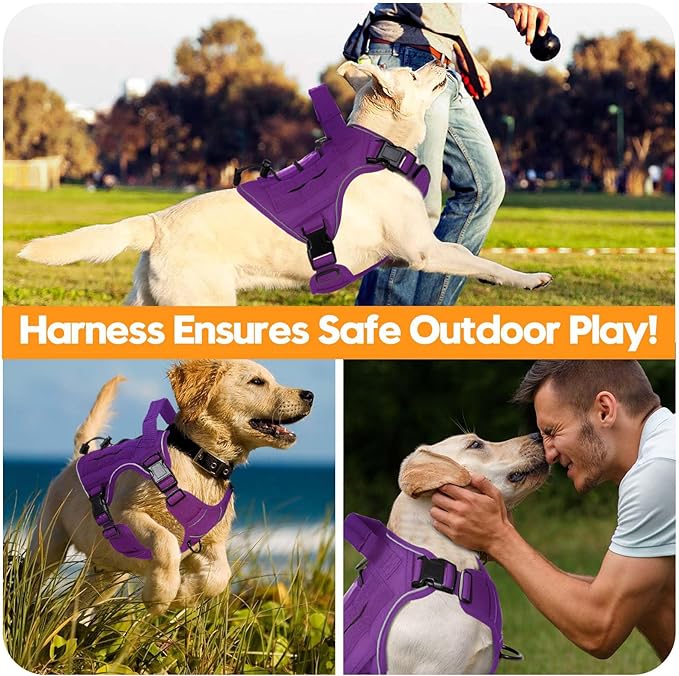 Heavy-Duty Tactical Dog Harness for Large Dogs, No Pull Adjustable Reflective Pet Vest with Molle System, K9 Military-Grade Control for Service Training, Outdoor & 10+ Breeds, Purple, Small-Mewly Pet