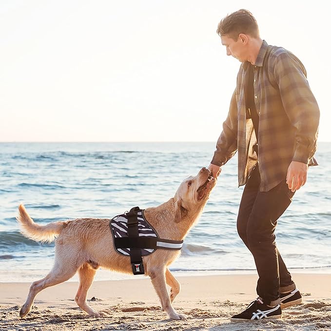 Dogline Dog Harness, Reflective No-Pull Adjustable Vest with Handle for Walking, Training, Breathable, No - Choke Harness for Small, Medium or Large Dogs Room for Patches Zebra Black/White M 22"-28"-Mewly Pet