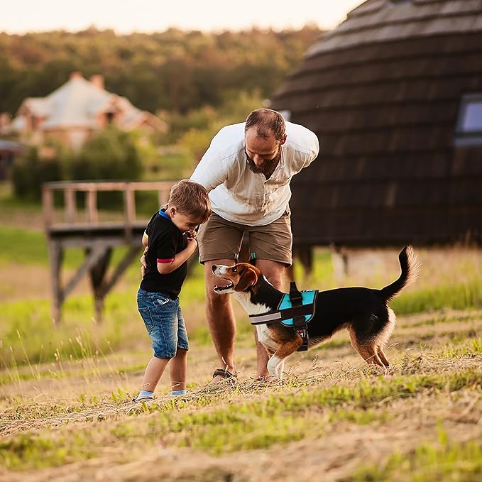 Dogline Dog Harness, Reflective No-Pull Adjustable Vest with Handle for Walking, Training, Breathable, No - Choke Harness for Small, Medium or Large Dogs Room for Patches Girth 33"-46" in Turquoise-Mewly Pet