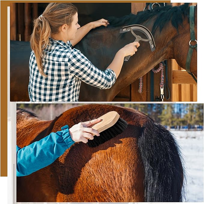 Abbylike 12 Pieces Horse Grooming Kit Racing Festival Tack Room Supplies Horse Brush Sets Equine Care Cleaning Kit Shedding Grooming Massaging Tools(Dark Gray)-Mewly Pet