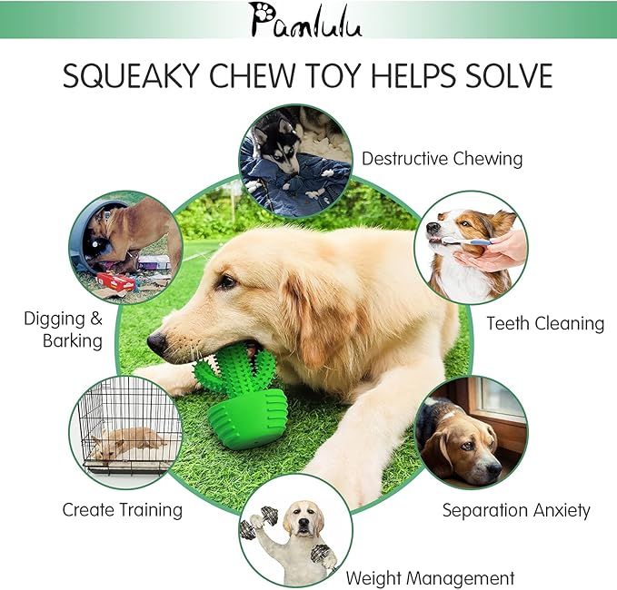 Dog Chew Toys Dog Toothbrush Stick Teeth Cleaning Brush Dental for Medium Large Dog, Puppy Christmas Easter Birthday Gifts, Outdoor Squeaky Toys for Aggressive Chewers Interactive Tough Toys-Mewly Pet