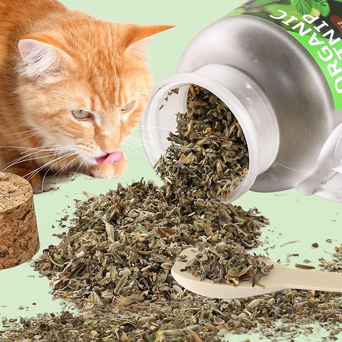 Natural Catnip for Cats,1.05 oz Cat Premium Organic Catnip,Safe & Non-Addictive Catnip Treats Used to Supplement Catnip Toys,Great for Training Redirecting Bad Behaviors-Mewly Pet