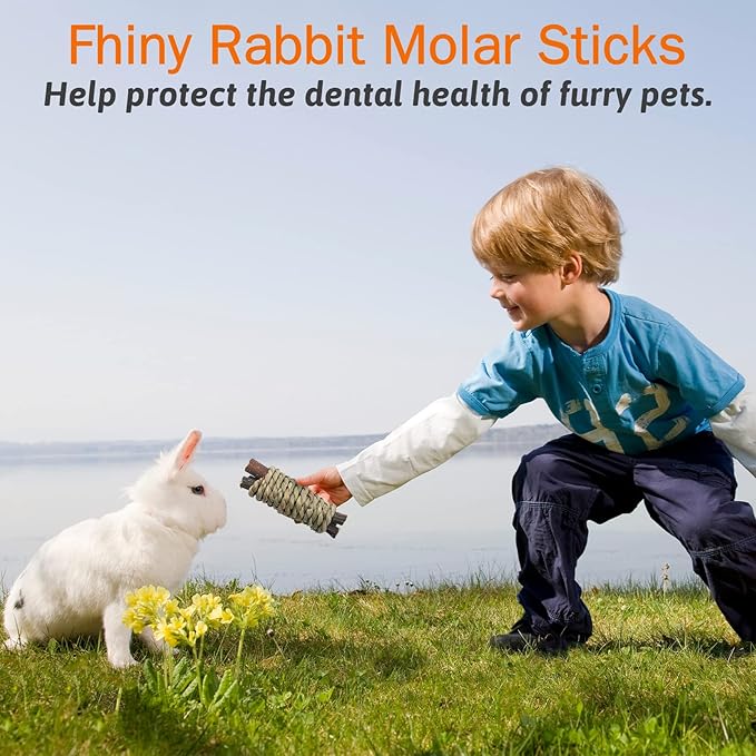 Fhiny 12 PCS Guinea Pigs Chew Toys, Natural Apple Branch Seagrass Molar Sticks for Teeth Bunny Chew Toys Cage Accessories for Guinea Pigs Rabbit Bunny Hamster Chinchilla-Mewly Pet