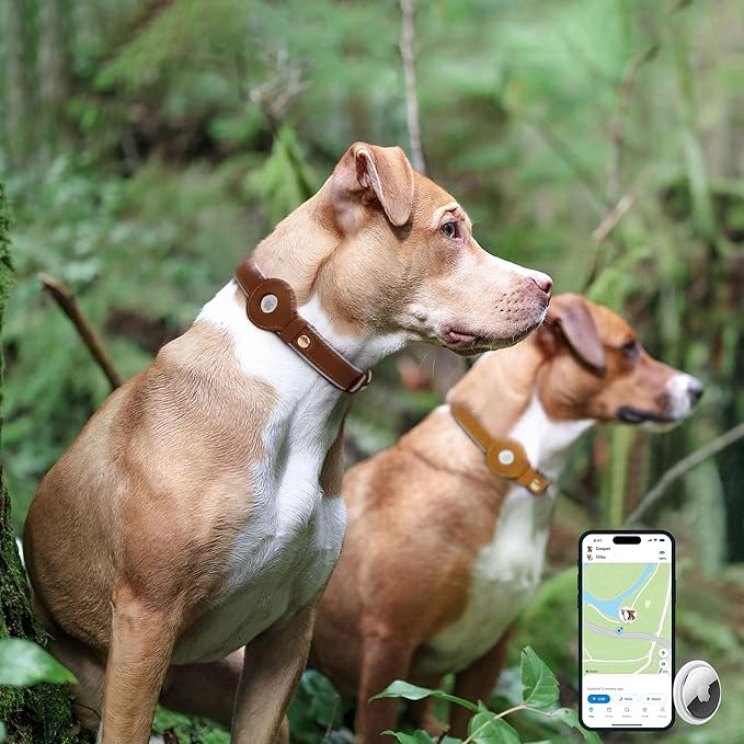 OOPSDOGGY Reflective Geniune Leather Airtag Dog Collar Soft Padded Collars for Small Medium Large Breed Dogs Puppy, 4 Sizes, 7 Colors (Brown, Small, 9"-12")-Mewly Pet