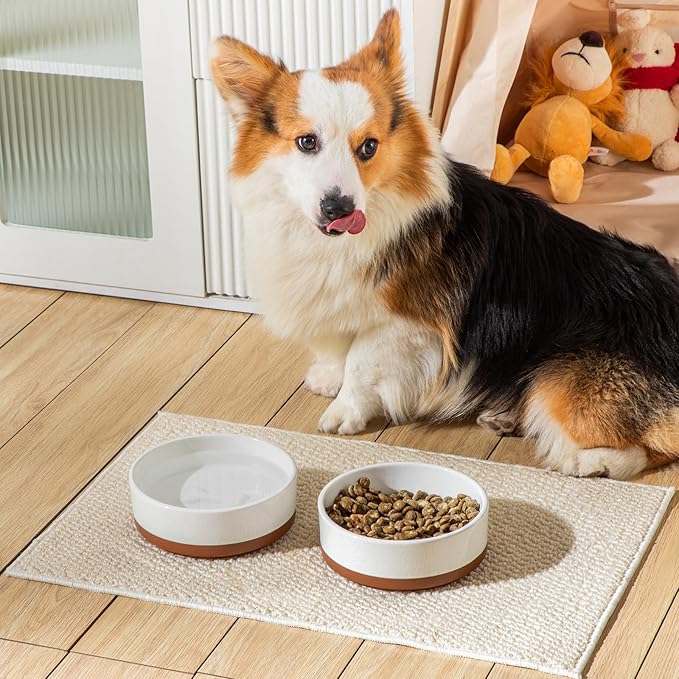 MALACASA Dog Bowls, Ceramic Dog Food and Water Bowls for Medium Size Dogs, 3.5 Cups Capacity Pet Bowl for Medium Dogs (M-3.5 Cups)-Mewly Pet