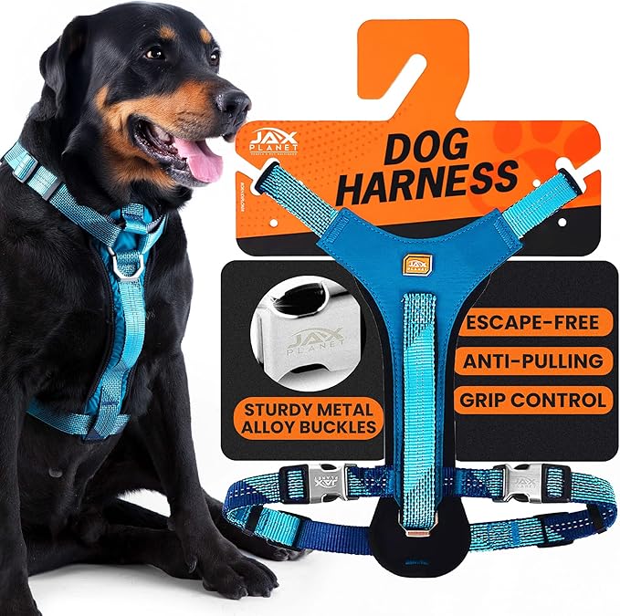 No-Pull Dog Harness with Handle - Escape Proof, Anti-Pulling, Grip Control, Multi-Angle Reflective for Safe Walks & Training, Easy On & Off, Metal Buckle–Pet Harness, Medium/Large Dogs- H3- Blue-Mewly Pet