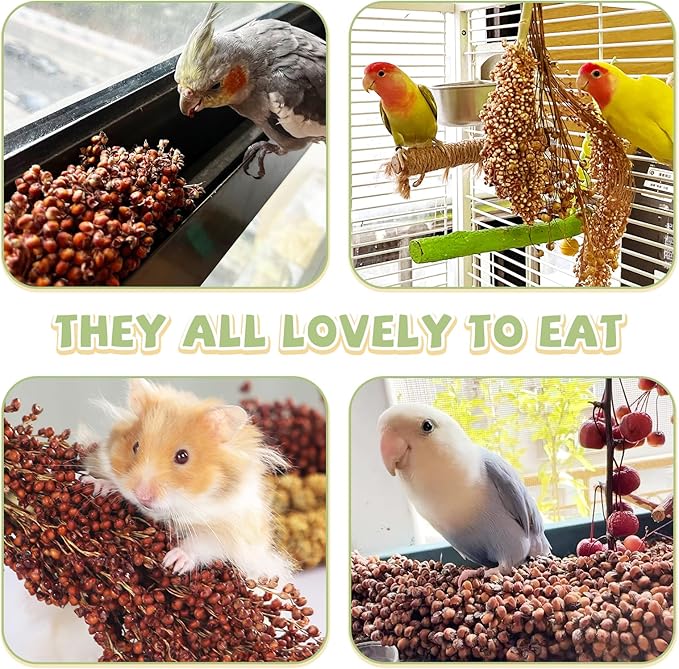 Fhiny Millet Spray for Birds, 3 PCS Natural Sun-Dried Red Sorghum Grain for Birds Seed Original Parrot Treats & Supplement Parakeet Food for Cockatiels Lovebirds Finches Budgies Pigeons Hamsters-Mewly Pet
