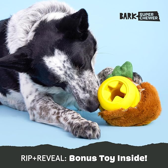 Barkbox Fowl Play Treat Dispensing Hard Core Plush Toy for Aggressive Chewers - Large-Mewly Pet