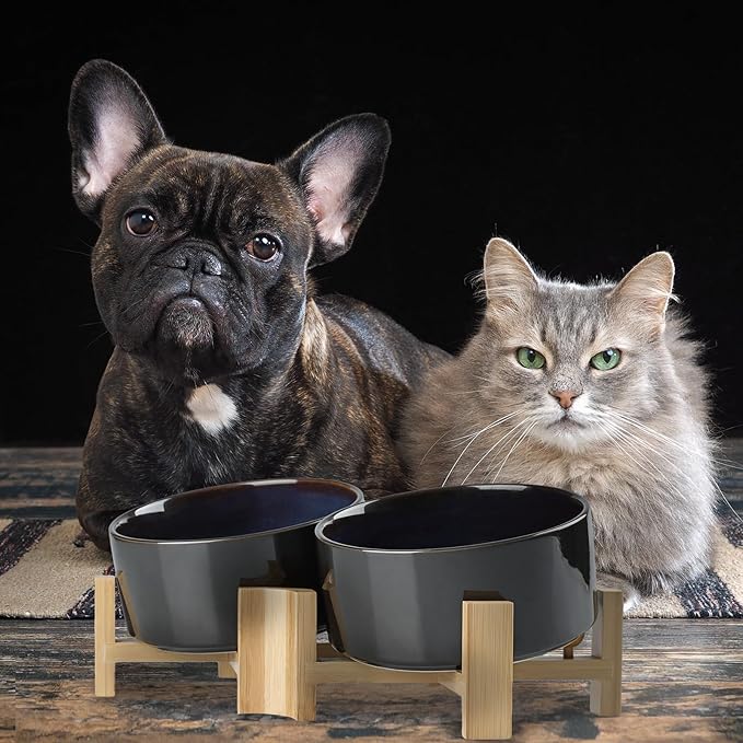 SPUNKYJUNKY 15° Slanted Ceramic Dog and Cat Bowl with Wooden Stand, Tilted Bulldog Food and Water Bowl No Slip Non-Spill for Cats Medium Dogs Big Face Pets 28.7 OZ (3.6 Cups, Starry Blue × 2)-Mewly Pet
