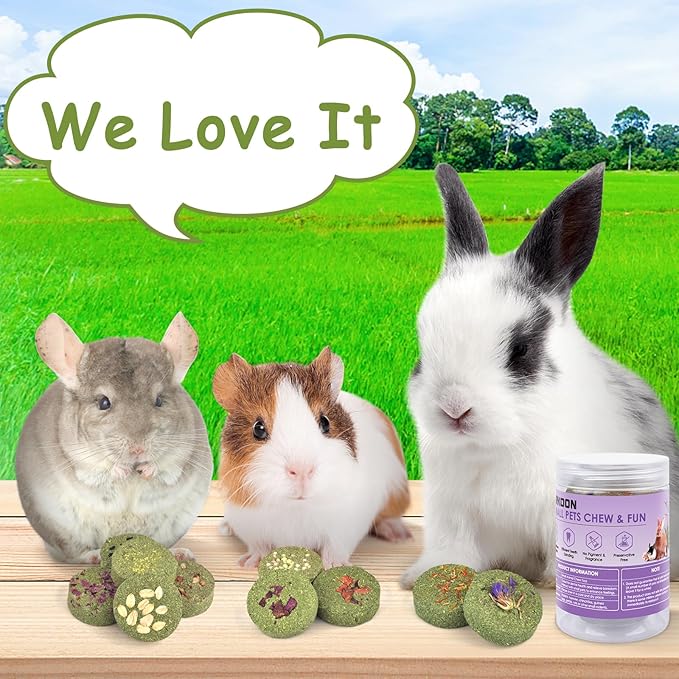 ERKOON Treats Rabbit Toys, 100% Edible Premium Timothy Hay Chew A Blocks for Rabbits, Chinchilla Treats, Chew Toys for Teeth Guinea Pigs and Mice-Mewly Pet