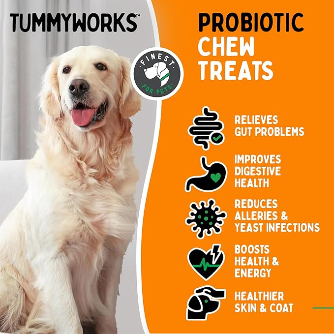 TummyWorks Probiotic 120 Soft Chews for Dogs All Ages - Supports Digestive Health, Relieves Diarrhea, Constipation, Good for Itching, Allergies, Yeast Infections. Added Digestive Enzymes, Made in USA-Mewly Pet